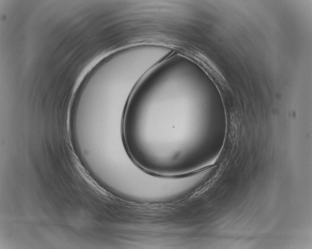 X0000081290788200701251652