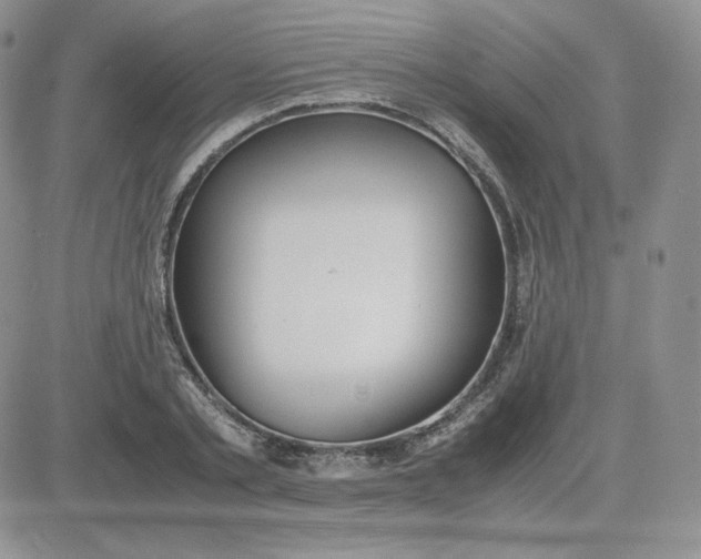 X0000081290789200701251652