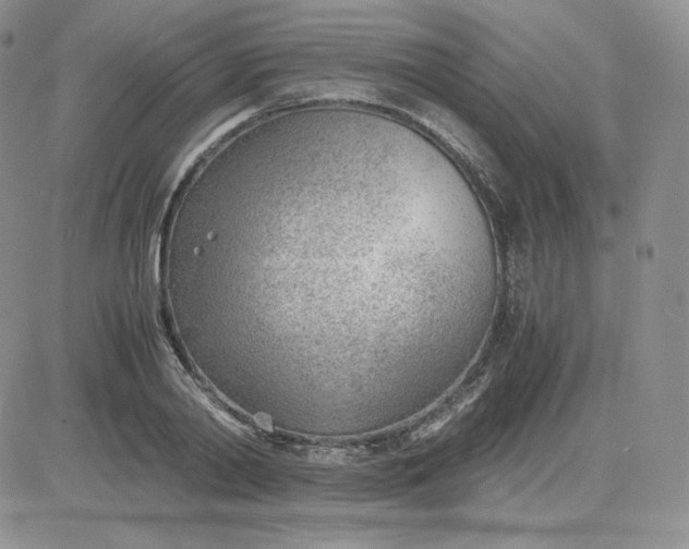 X0000081290790200701251652