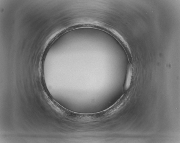 X0000081290791200701251652