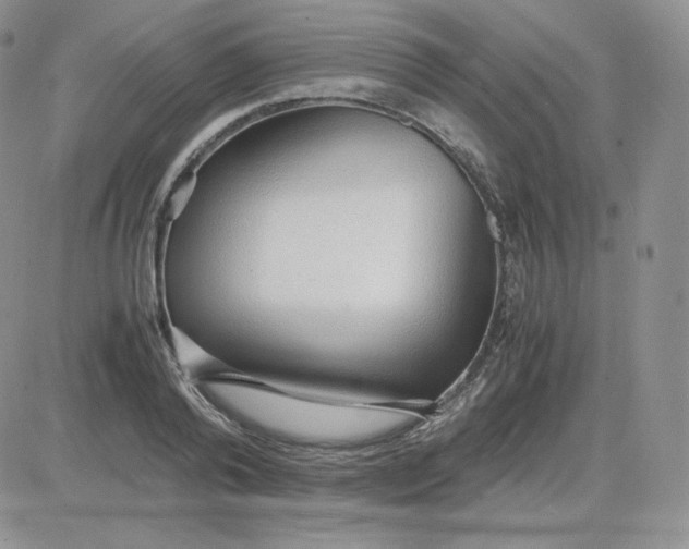 X0000081290792200701251651