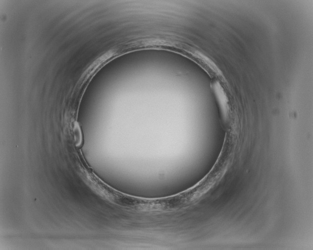 X0000081290793200701251651