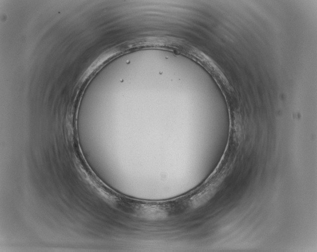 X0000081290794200701251651