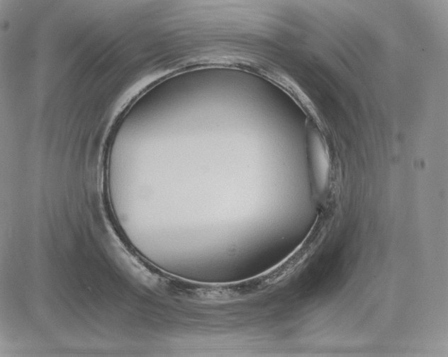 X0000081290795200701251651