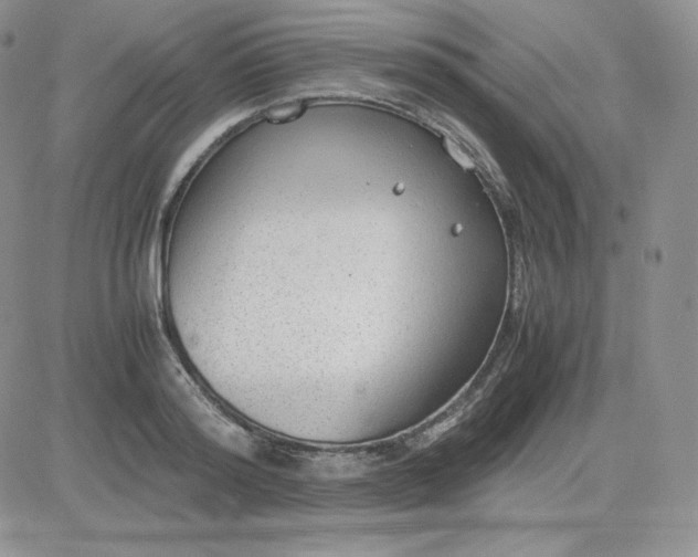 X0000081290796200701251651