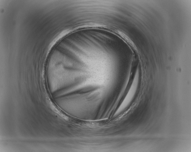 X0000081290797200701251651