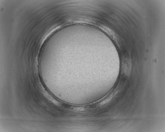 X0000081290798200701251651