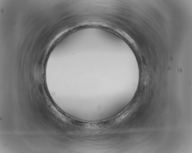 X0000081290799200701251651