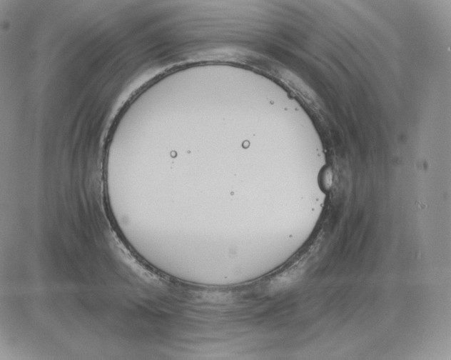 X0000081290800200701251651