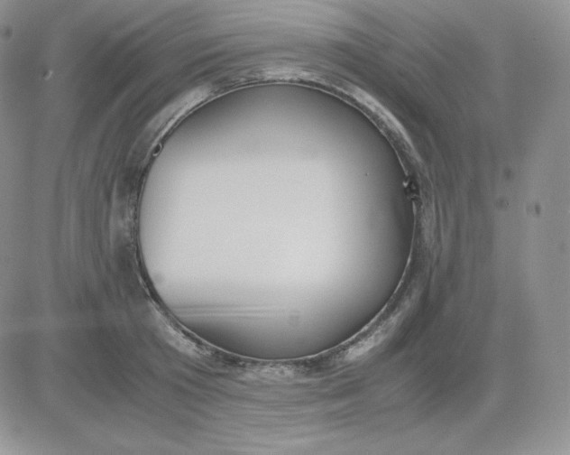 X0000081290801200701251651