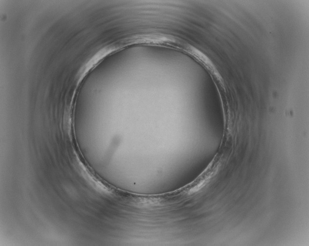 X0000081290802200701251651