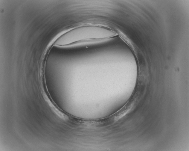 X0000081290803200701251651