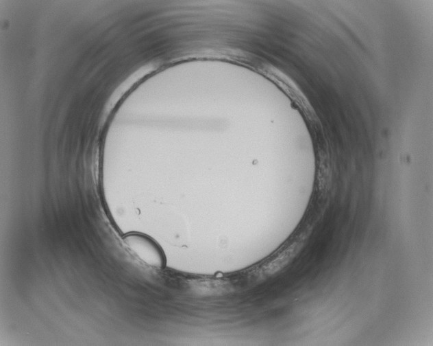 X0000081290804200701251651