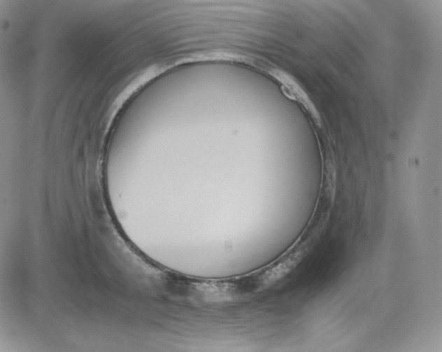 X0000081290805200701251651