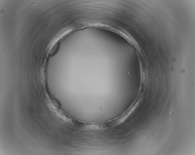 X0000081290806200701251651