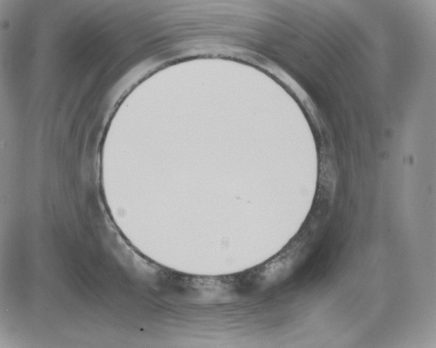 X0000081290807200701251651