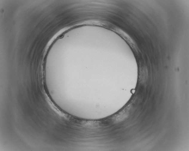 X0000081290808200701251651