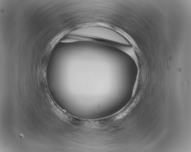 X0000081290809200701251651