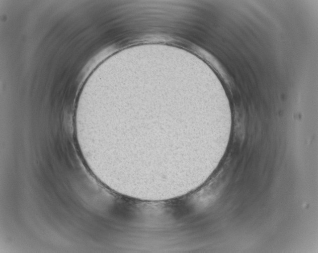 X0000081290810200701251651