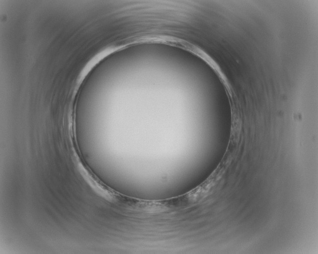 X0000081290811200701251651