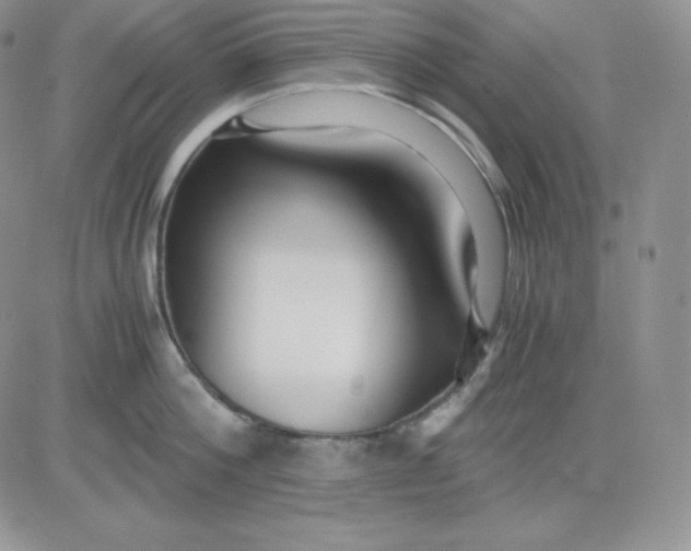 X0000081290812200701251651