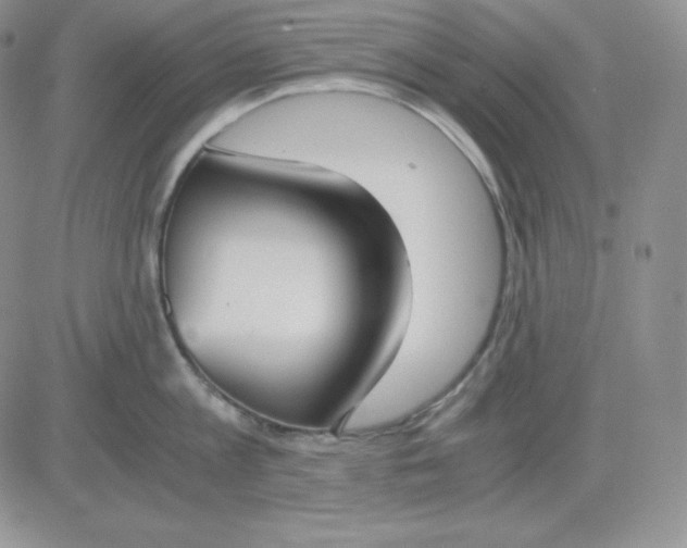 X0000081290813200701251651