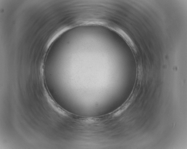 X0000081290814200701251651