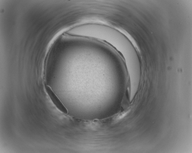 X0000081290815200701251651