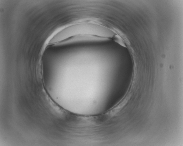 X0000081290816200701251651