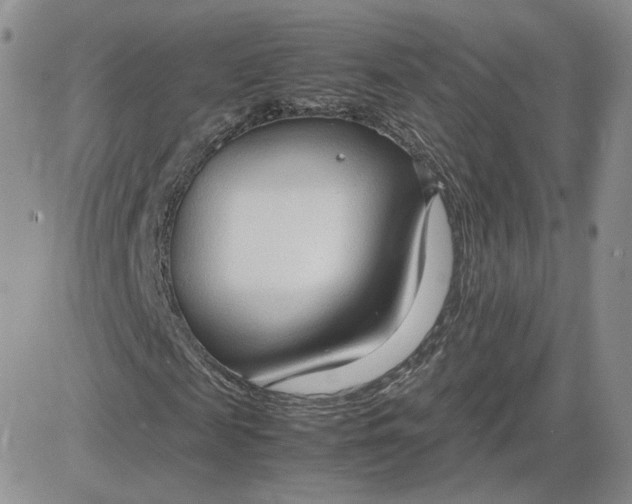 X0000081290817200701251650