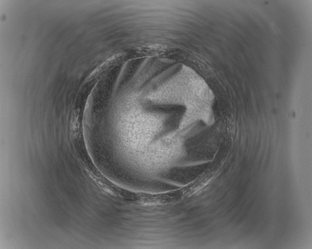 X0000081290818200701251650