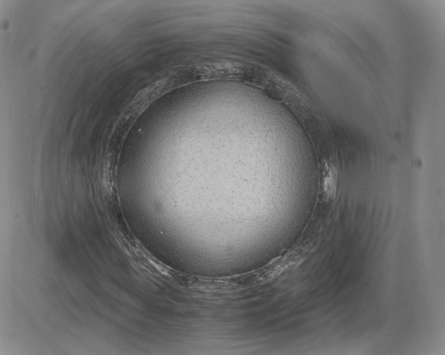 X0000081290819200701251650