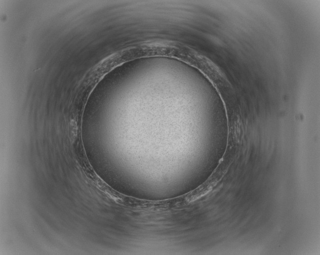 X0000081290821200701251650