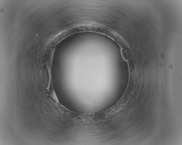 X0000081290822200701251650