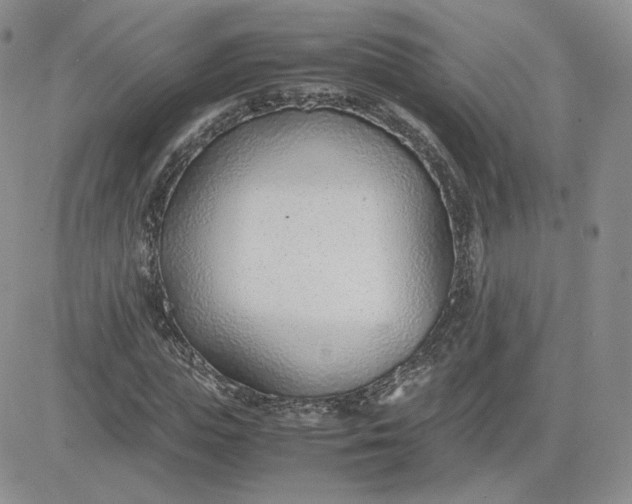 X0000081290823200701251650