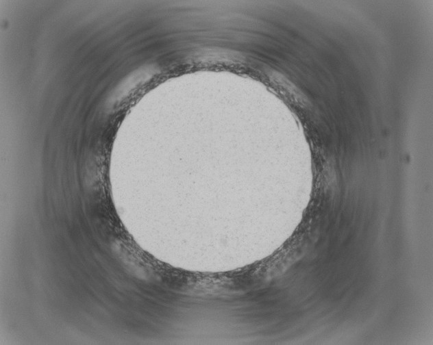 X0000081290824200701251650