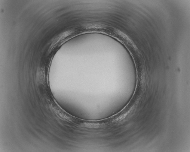 X0000081290825200701251650