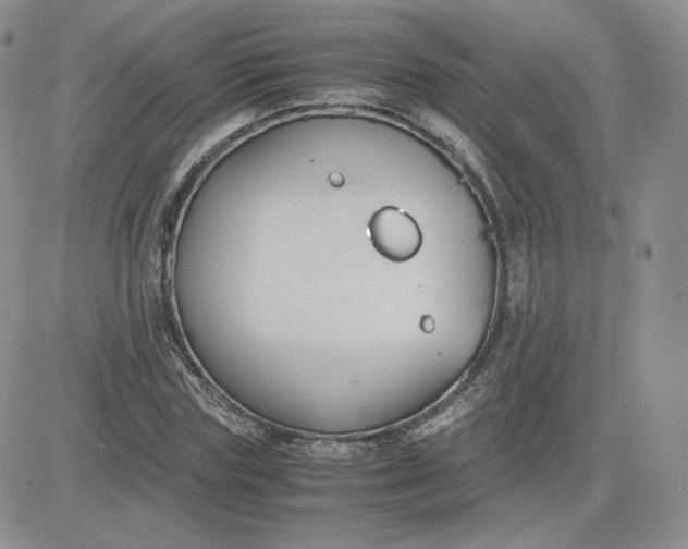 X0000081290827200701251650