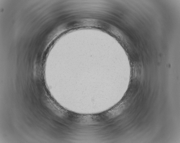 X0000081290828200701251650