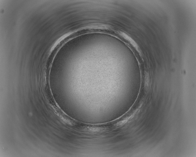 X0000081290829200701251651