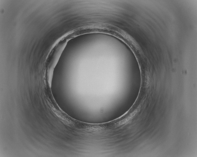 X0000081290830200701251651