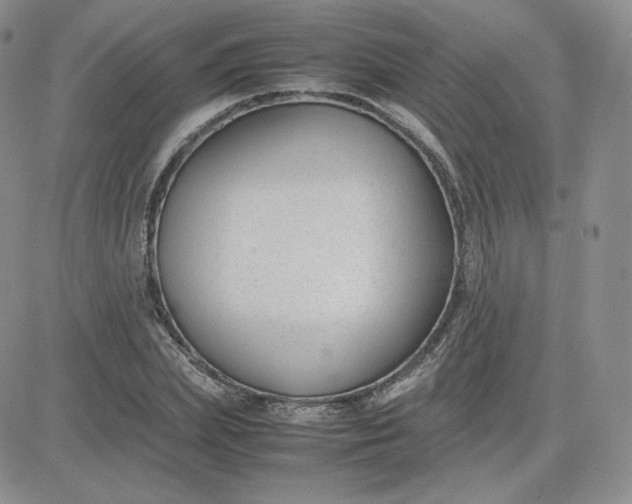 X0000081290831200701251651