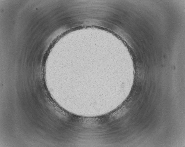 X0000081290832200701251651