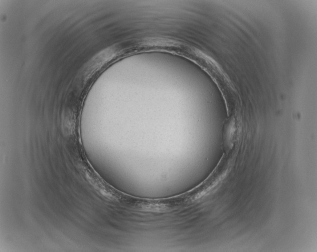 X0000081290833200701251651