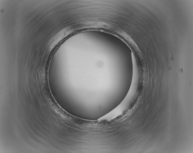 X0000081290834200701251651