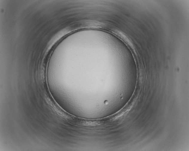 X0000081290835200701251651