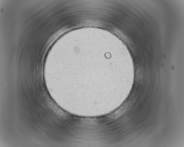 X0000081290836200701251651