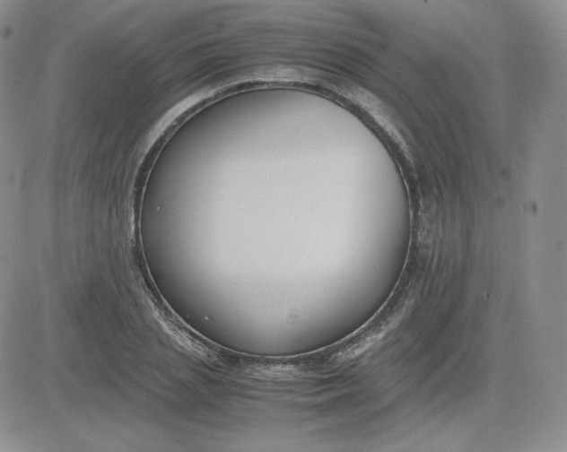 X0000081290837200701251651