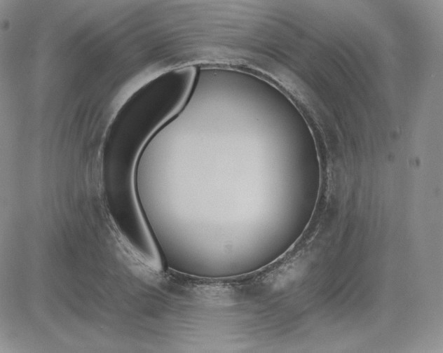 X0000081290838200701251651