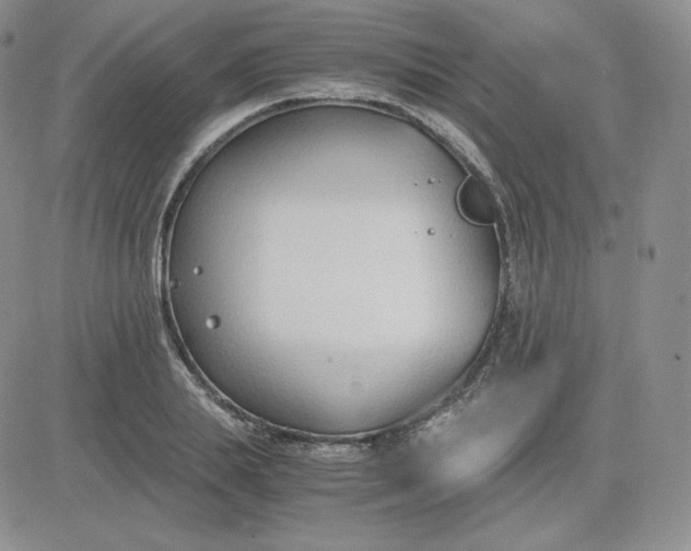 X0000081290839200701251651